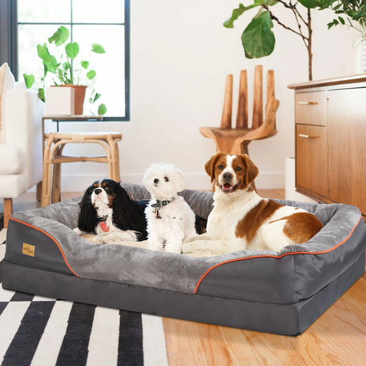 Lit pour chien XL - 3XL avec matelas en mousse à mémoire de forme et bords rembourrés